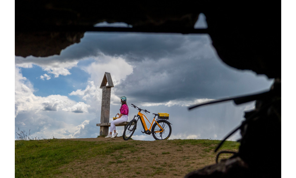 Elektrijalgratas Ecobike Expedition SUV Yellow 1080Wh - 7