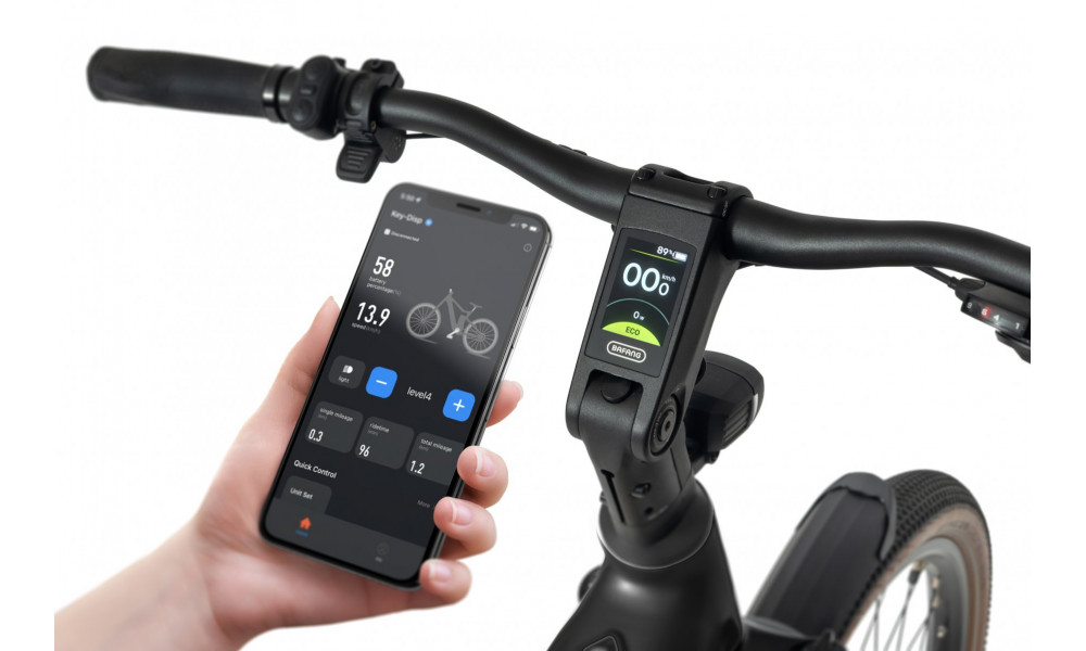 Elektrijalgratas Ecobike Flex Black 900Wh - 3