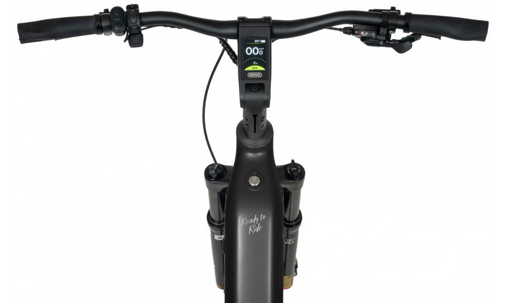 Elektrijalgratas Ecobike Flex Black 900Wh - 12