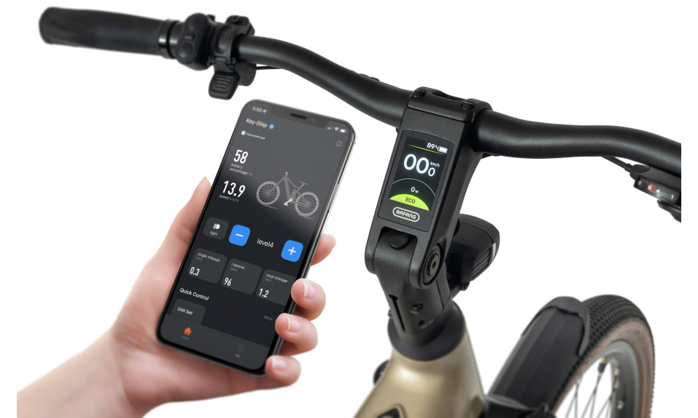 Elektrijalgratas Ecobike Flex Titanium 900Wh - 4