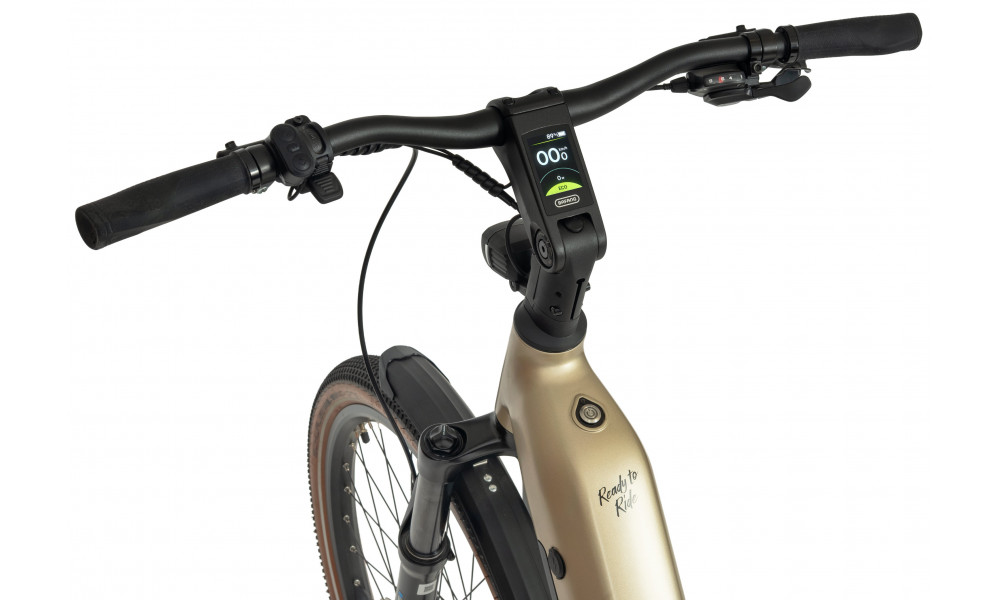Elektrijalgratas Ecobike Flex Titanium 900Wh - 11