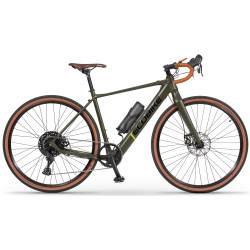Elektrijalgratas Ecobike Forest Plus 10 + 7 Ah 601WH
