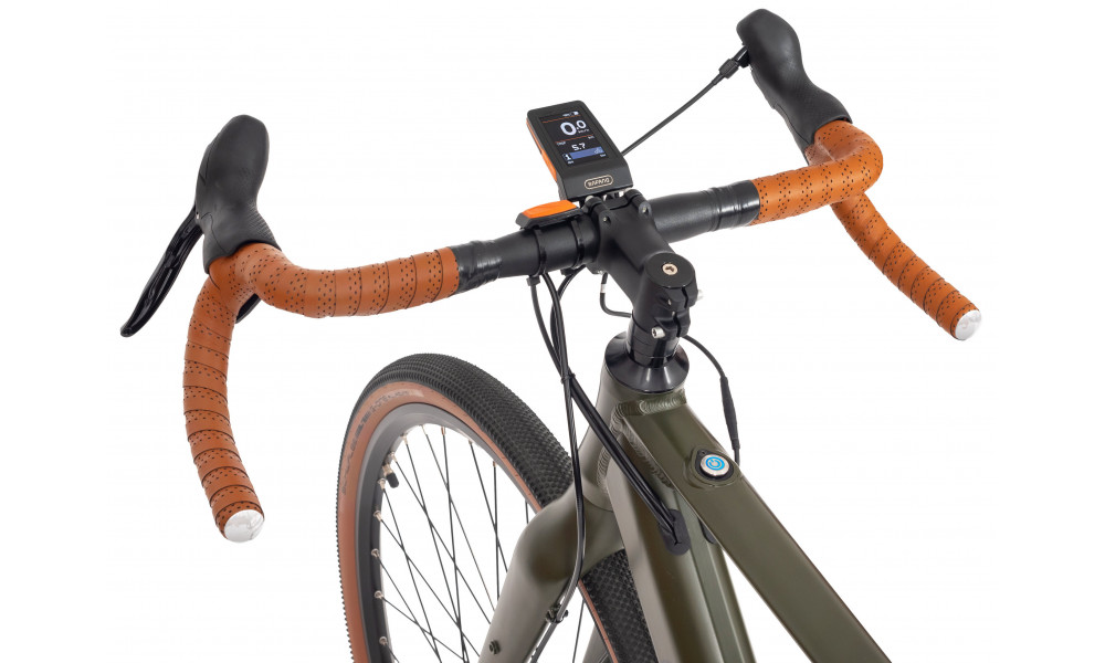 Elektrijalgratas Ecobike Forest Plus 10 + 7 Ah 601WH - 8