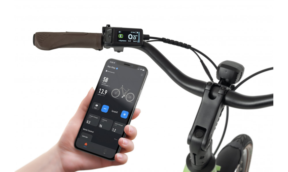 Elektrijalgratas Ecobike LX100 Automatic Green 630Wh - 5