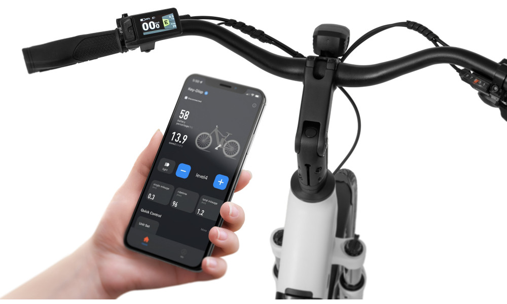 Elektrijalgratas Ecobike LX100 White V2 630Wh - 4