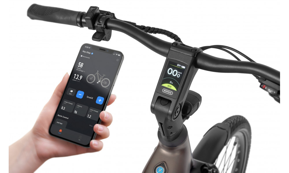 Elektrijalgratas Ecobike LX300 Onyx V3 900Wh - 4