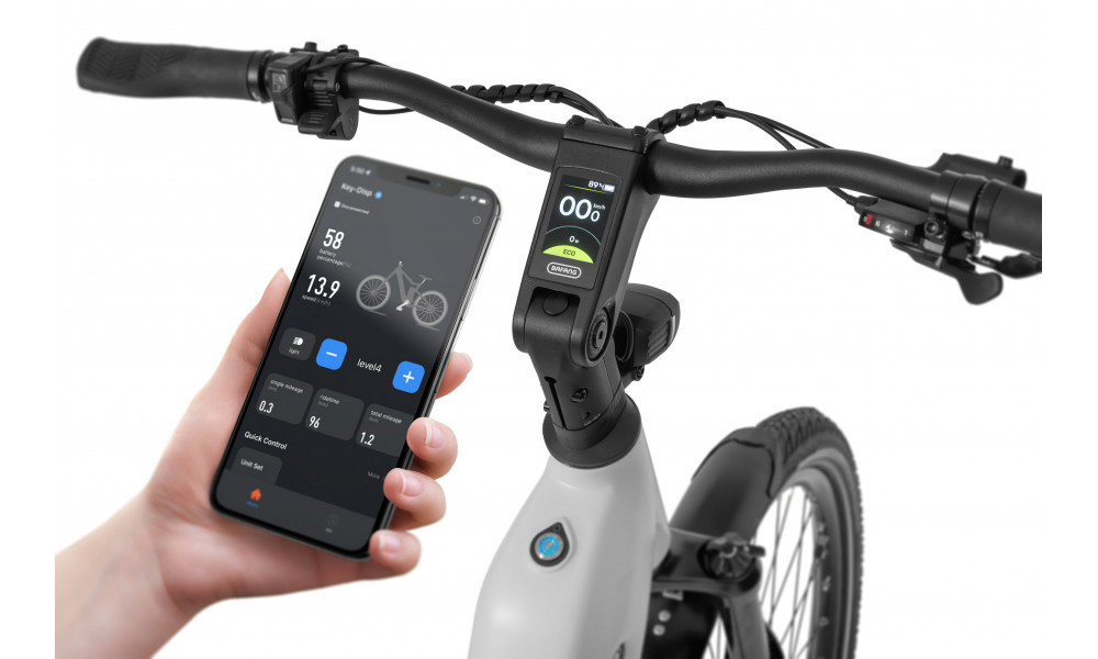 Elektrijalgratas Ecobike LX300 White V3 900Wh - 4