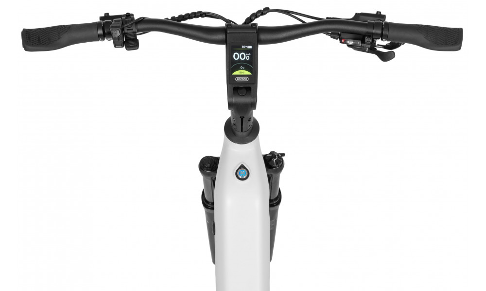 Elektrijalgratas Ecobike LX300 White V3 900Wh - 9