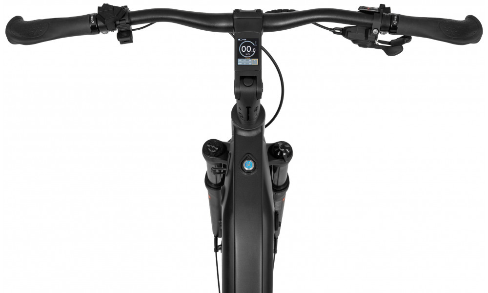 Elektrijalgratas Ecobike LX500 Graphite 960Wh - 9