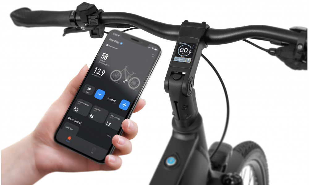 Elektrijalgratas Ecobike LX500 Graphite 960Wh - 11