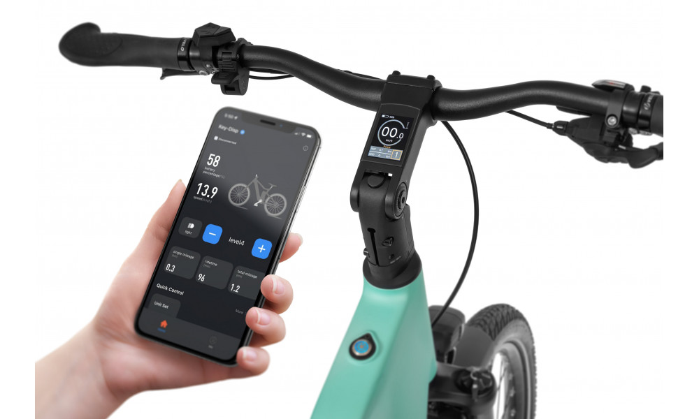 Elektrijalgratas Ecobike LX500 Mint 720Wh - 10