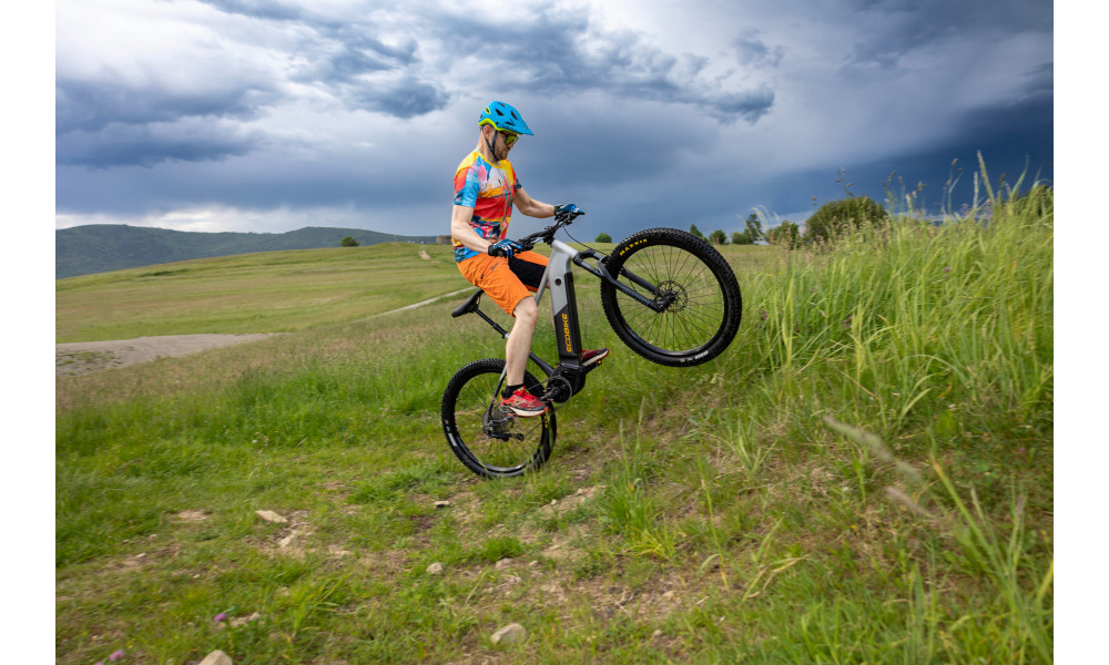 Elektrijalgratas Ecobike Mauler 720Wh - 16