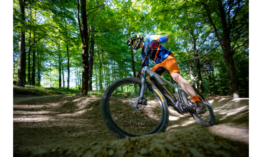 Elektrijalgratas Ecobike Mauler 720Wh - 17