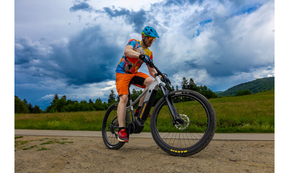 Elektrijalgratas Ecobike Mauler 720Wh - 19