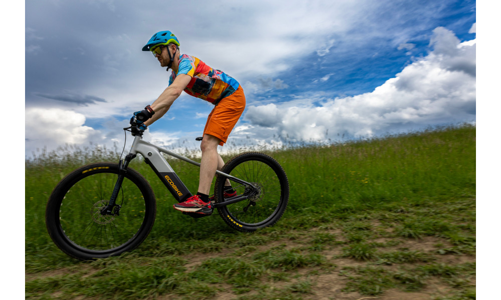 Elektrijalgratas Ecobike Mauler 1080Wh - 13