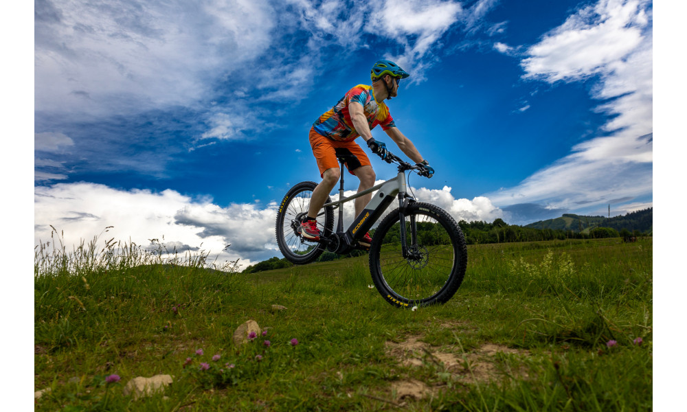 Elektrijalgratas Ecobike Mauler 1080Wh - 15