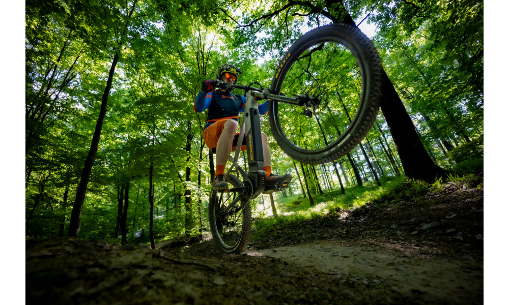 Elektrijalgratas Ecobike Mauler 1080Wh - 18