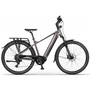 Elektrijalgratas Ecobike MX300 Golden Grey 900Wh