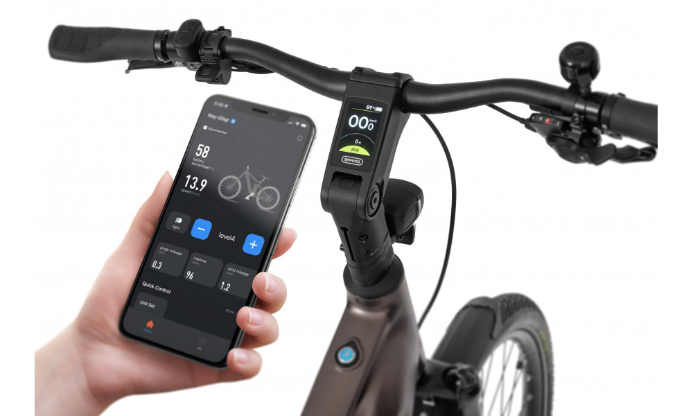 Elektrijalgratas Ecobike MX300 Golden Grey 900Wh - 2