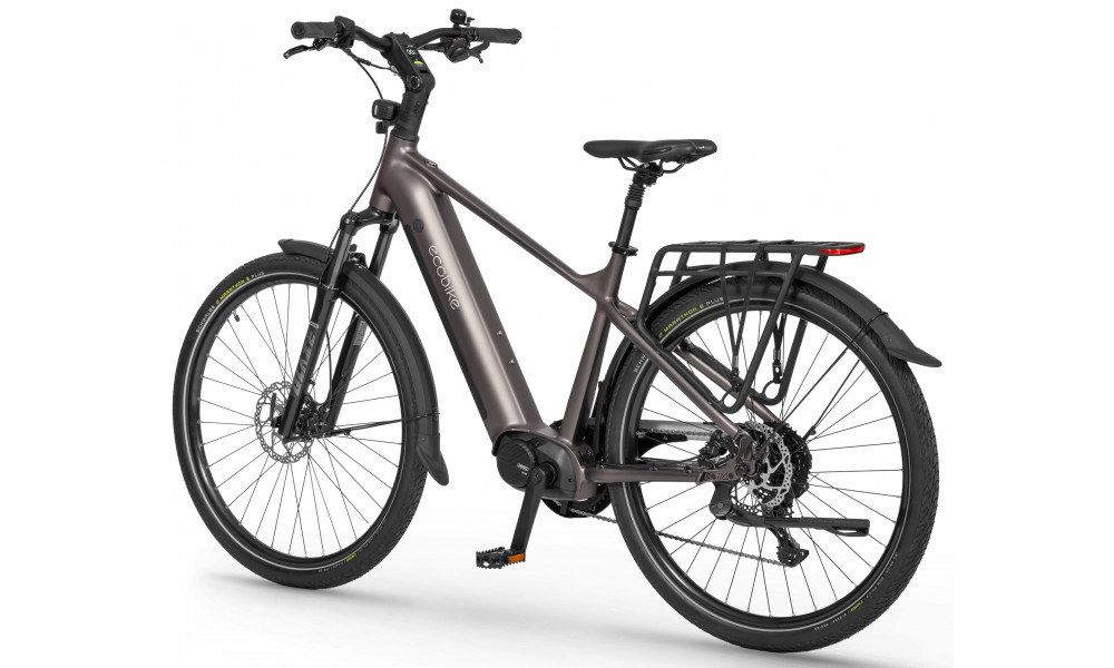 Elektrijalgratas Ecobike MX300 Golden Grey 900Wh - 5