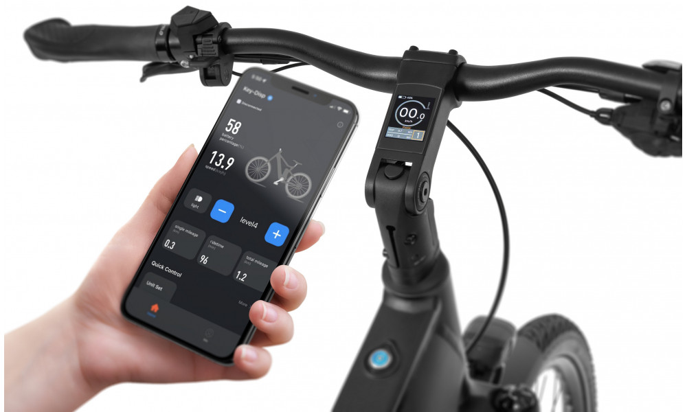 Elektrijalgratas Ecobike MX500 Graphite 960Wh - 11