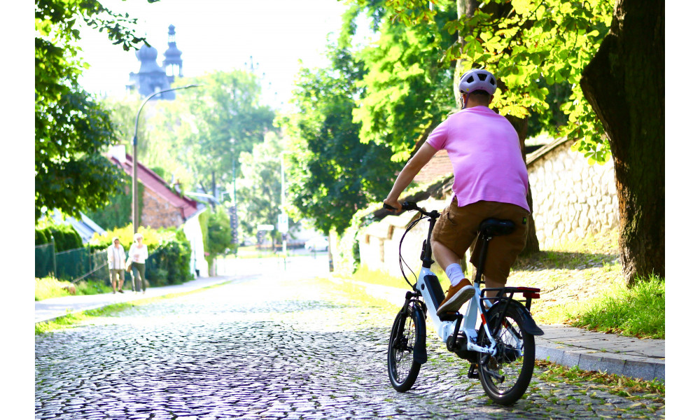 Elektrijalgratas Ecobike Rhino Cruise White 504Wh - 12