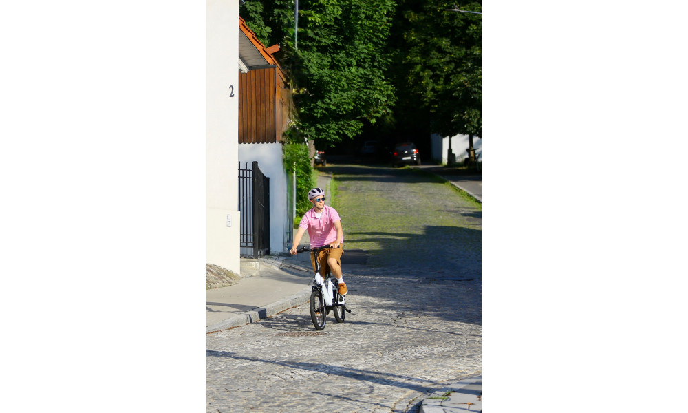 Elektrijalgratas Ecobike Rhino Cruise White 630Wh - 3