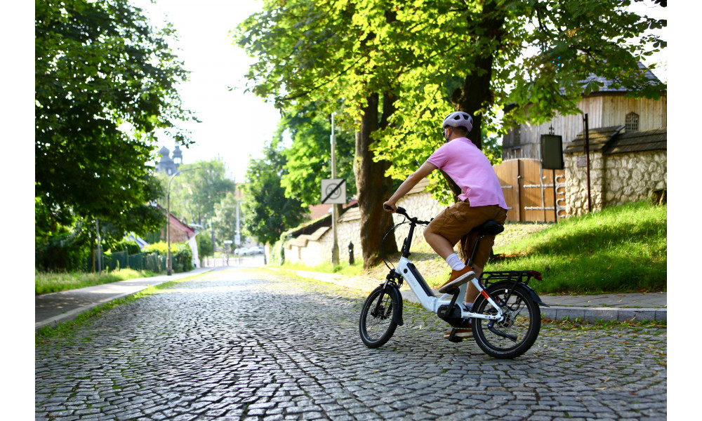 Elektrijalgratas Ecobike Rhino Cruise White 630Wh - 19