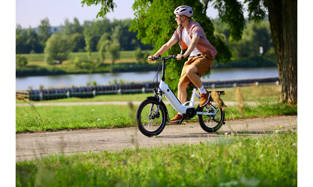 Elektrijalgratas Ecobike Rhino Cruise White 630Wh - 34