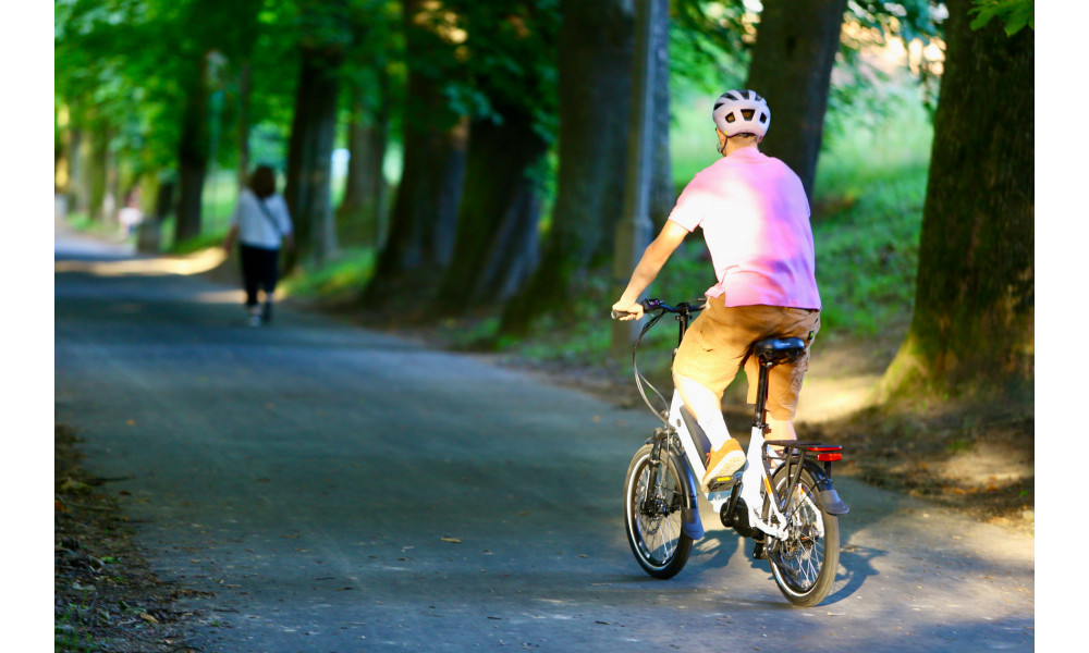 Elektrijalgratas Ecobike Rhino Cruise White 630Wh - 48