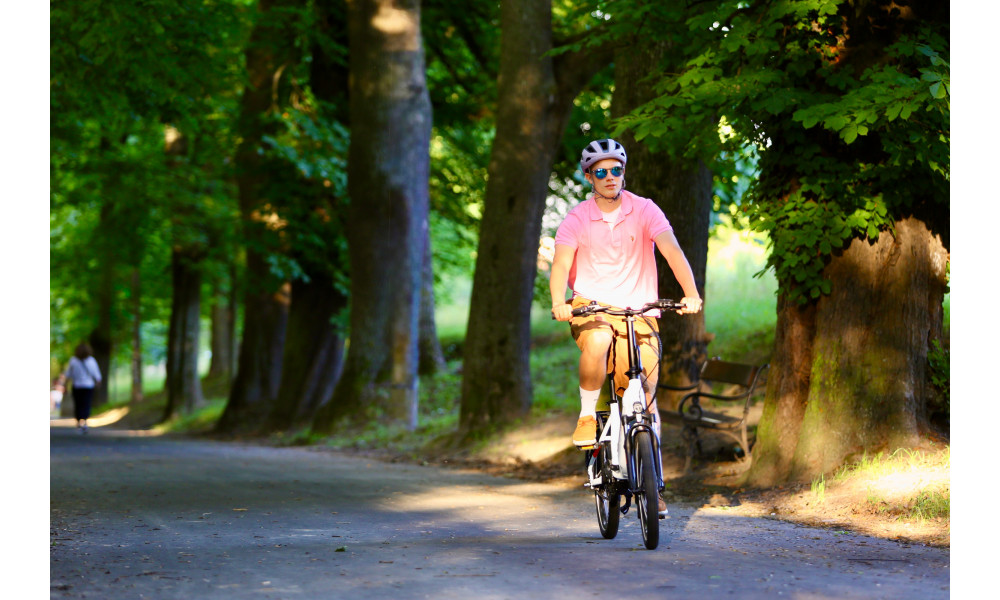 Elektrijalgratas Ecobike Rhino Cruise White 630Wh - 49