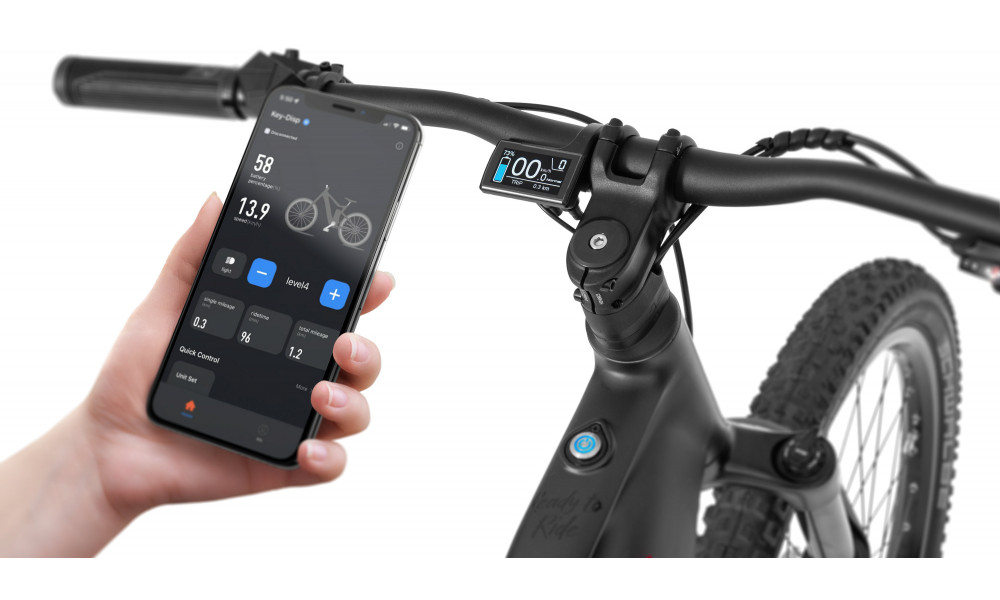 Elektrijalgratas Ecobike RX500 Black 960Wh 960Wh - 11