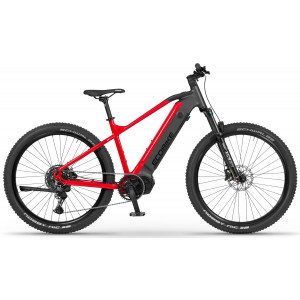 Elektrijalgratas Ecobike RX500 Black 960Wh