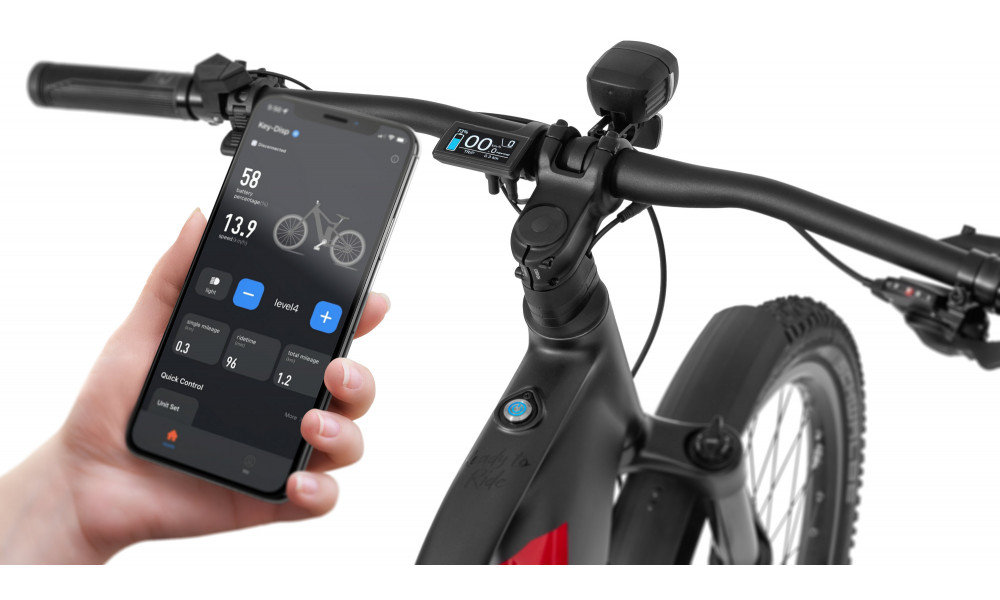 Elektrijalgratas Ecobike RX500 Black SUV 960Wh - 11