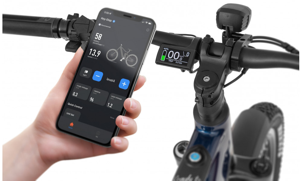 Elektrijalgratas Ecobike RX500 Blue SUV 960Wh - 3