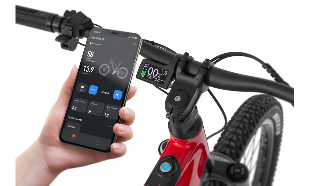 Elektrijalgratas Ecobike RX500 Max Red 960Wh - 3