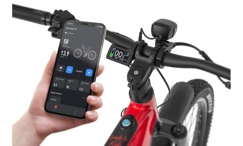 Elektrijalgratas Ecobike RX500 Max Red SUV 960Wh - 3