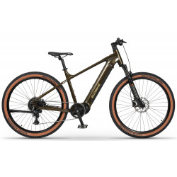Elektrijalgratas Ecobike SX300 Green V2 900Wh