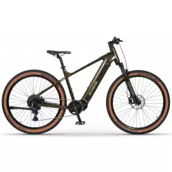 Elektrijalgratas Ecobike SX300 Green V2 900Wh
