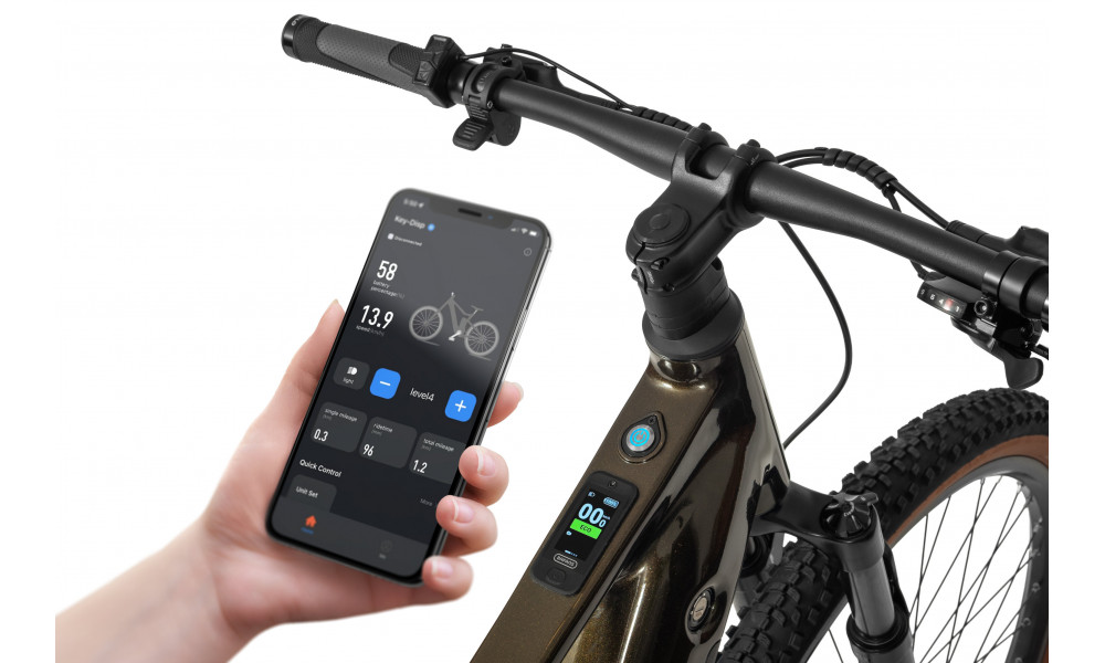 Elektrijalgratas Ecobike SX300 Green V2 900Wh - 4