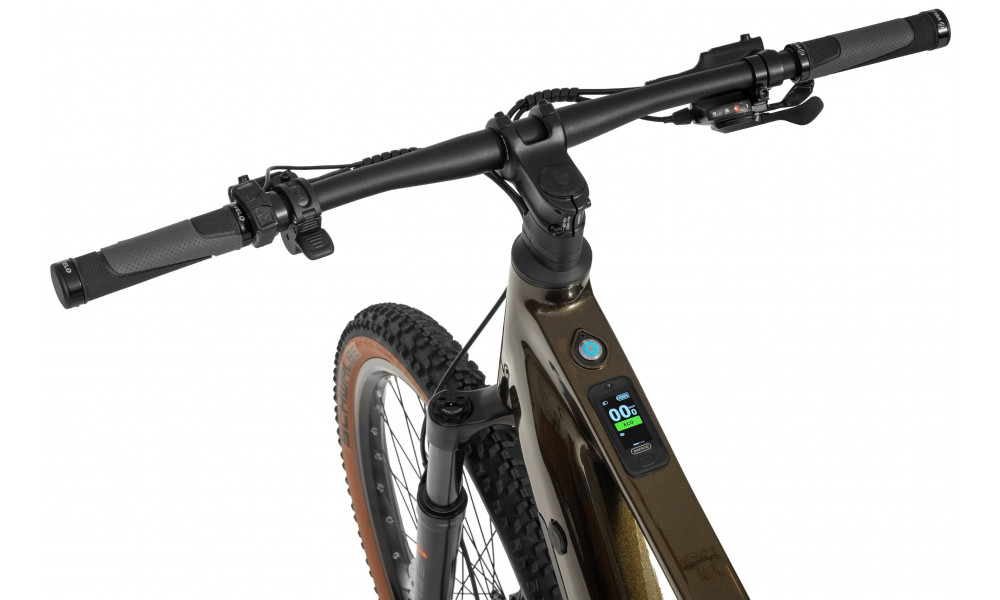 Elektrijalgratas Ecobike SX300 Green V2 900Wh - 9