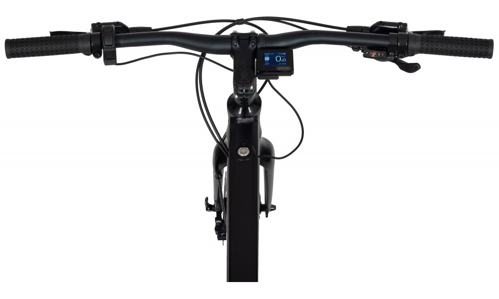 Elektrijalgratas Ecobike Urban 349Wh - 6