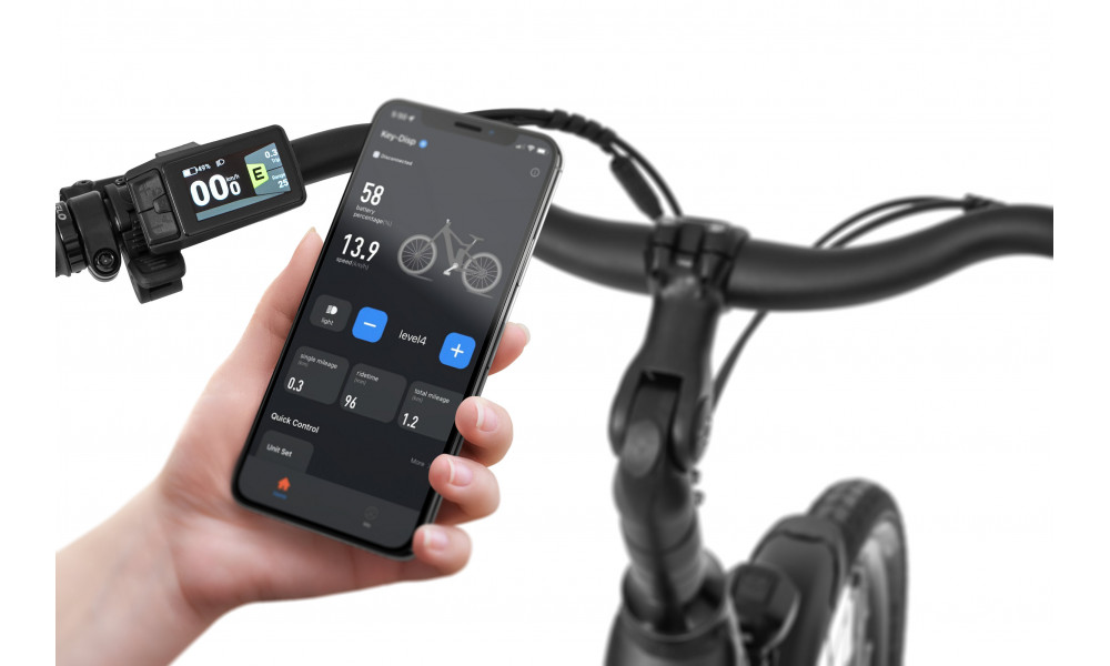 Elektrijalgratas Ecobike X-City Black V3 504Wh - 3