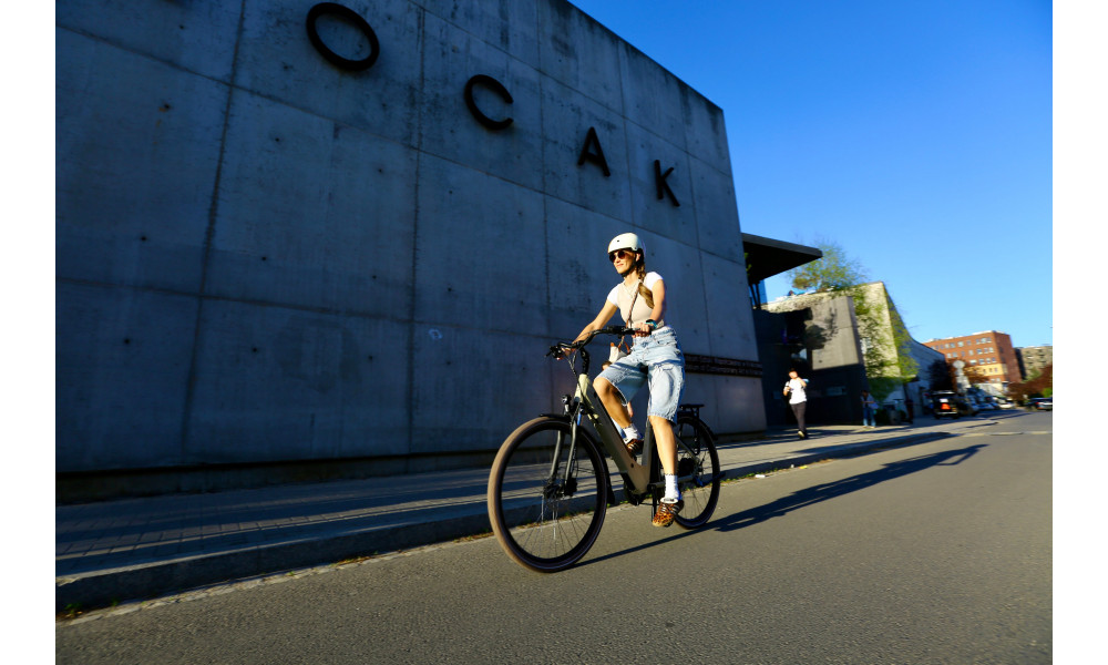 Elektrijalgratas Ecobike X-City Cappuccino V3 504Wh - 2