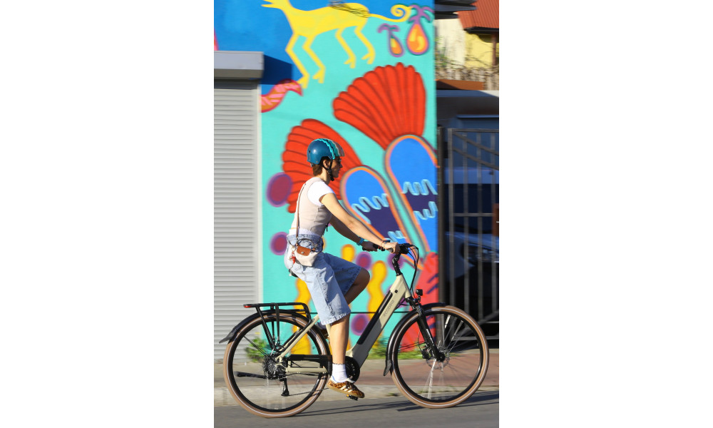 Elektrijalgratas Ecobike X-City Cappuccino V3 504Wh - 3