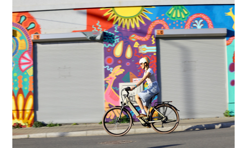 Elektrijalgratas Ecobike X-City Cappuccino V3 504Wh - 4