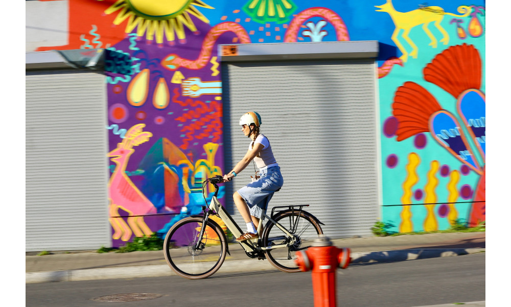 Elektrijalgratas Ecobike X-City Cappuccino V3 504Wh - 7