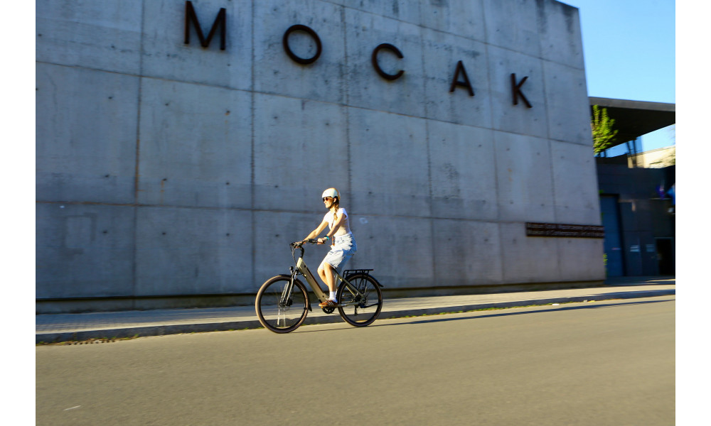 Elektrijalgratas Ecobike X-City Cappuccino V3 504Wh - 9