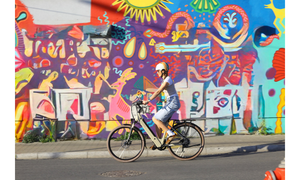 Elektrijalgratas Ecobike X-City Cappuccino V3 504Wh - 20