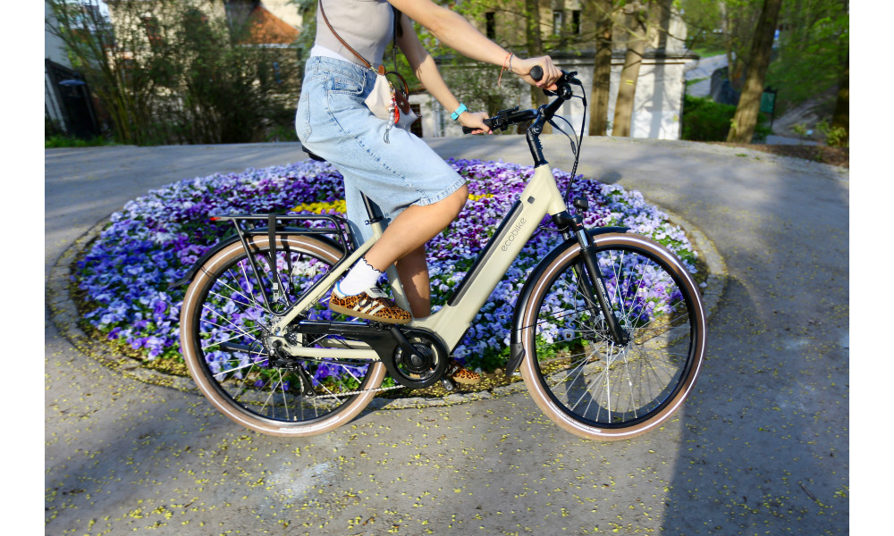 Elektrijalgratas Ecobike X-City Cappuccino V3 504Wh - 34
